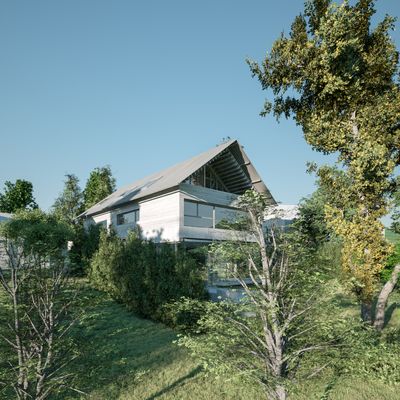 Appenzeller Haus - Blick vom Garten