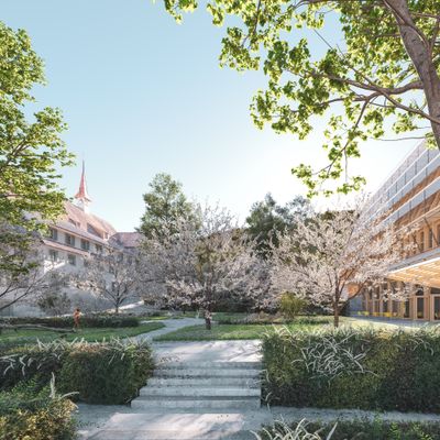 HPS Kirchmatt Zug, neuer Klostergarten